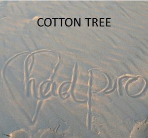 cotton tree single