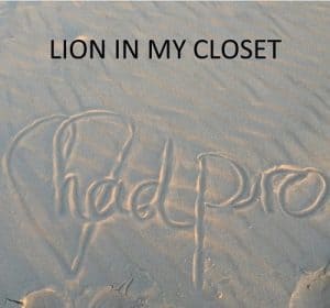 lion in my closet single